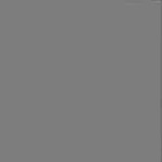 GREY Plush