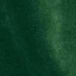 Green Plush Velvet