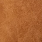 Tan Leather
